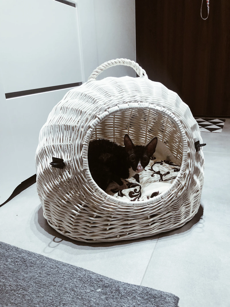 Cat Beds & Hideaways