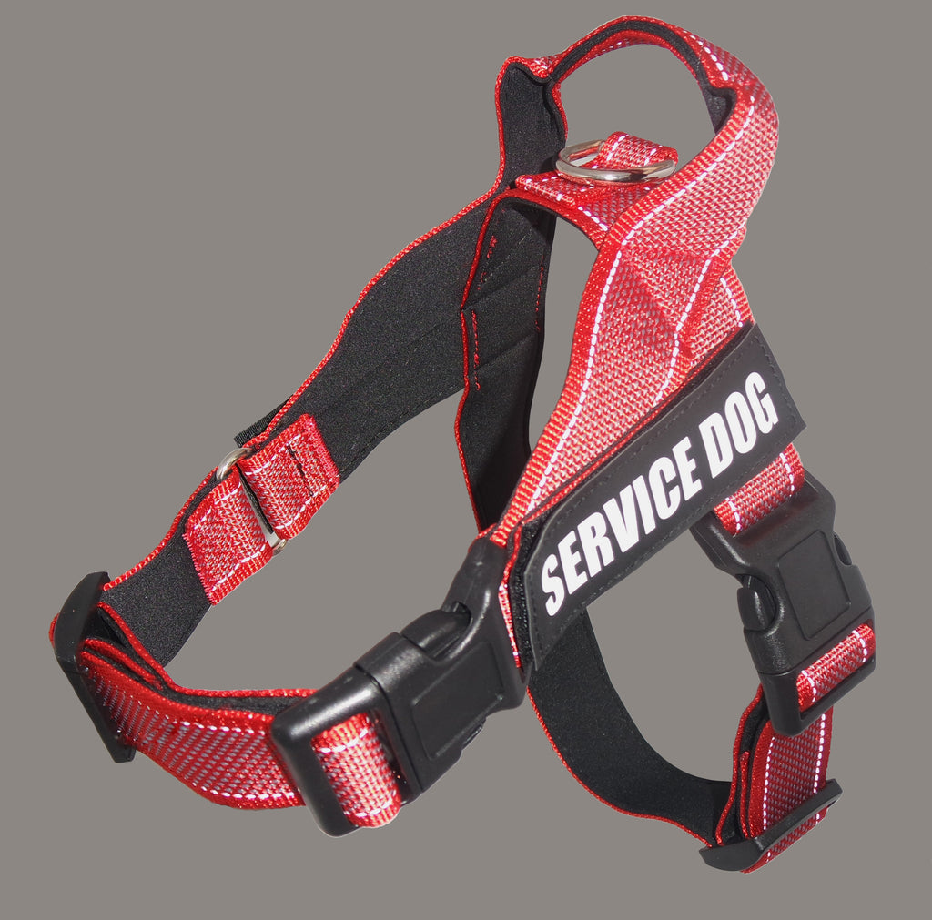 Large Dog Car Safety Chest and Back Seat Protector