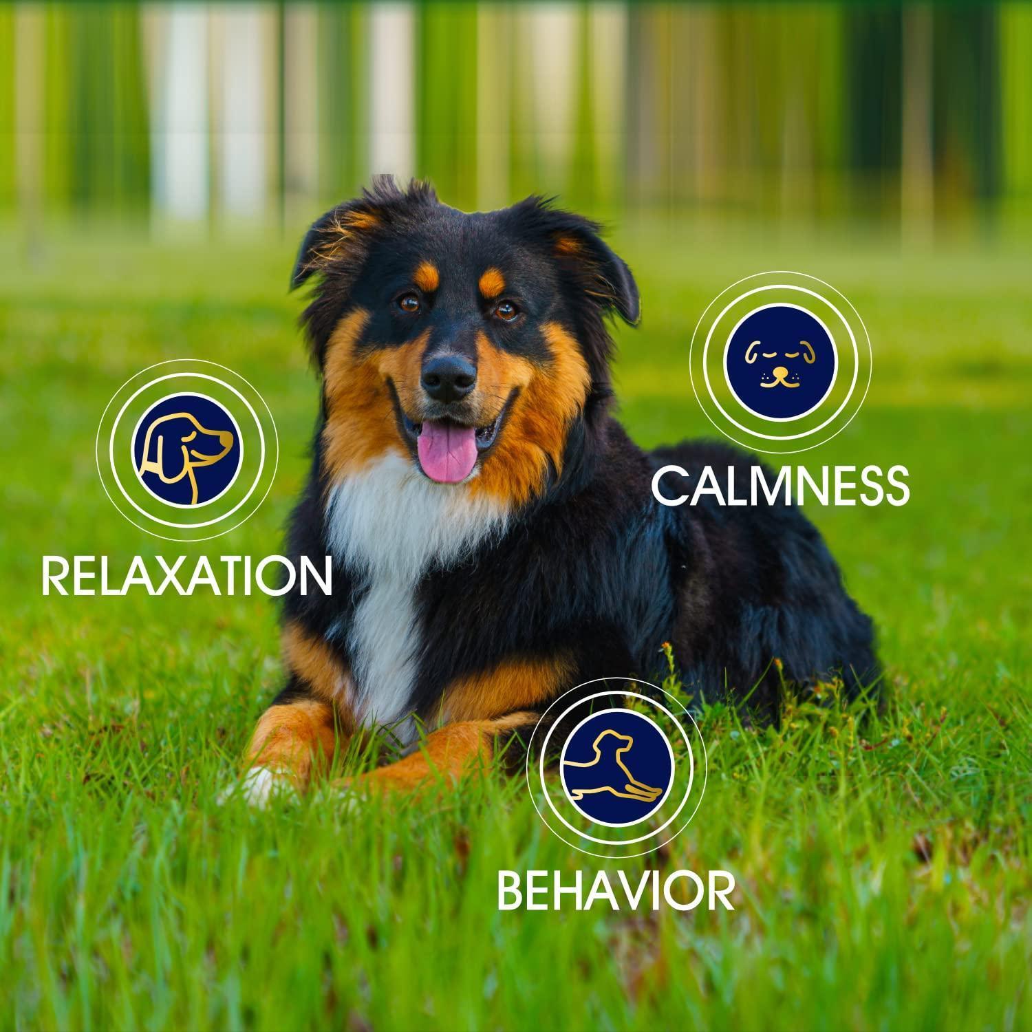 Hemp Calming Chews for Dogs with Anxiety and Stress Dog Calming Treats 90 Chews
