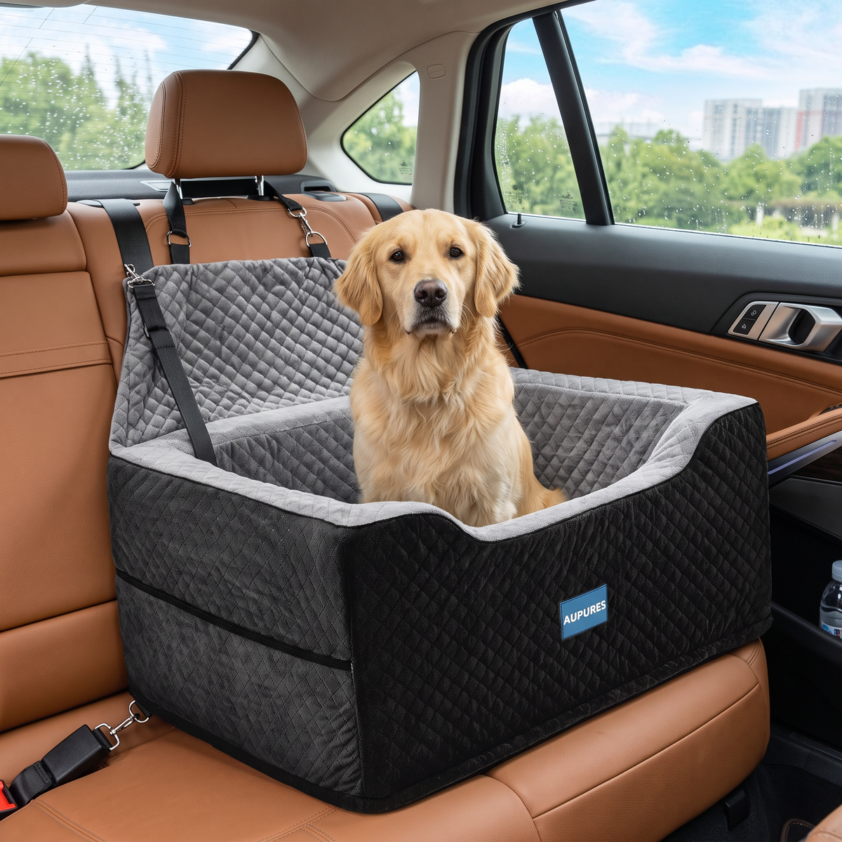 lifestyle