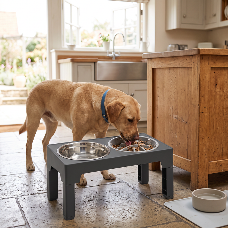 PetPilot Pet Food Bowl | Adjustable Elevated Slow Feeder