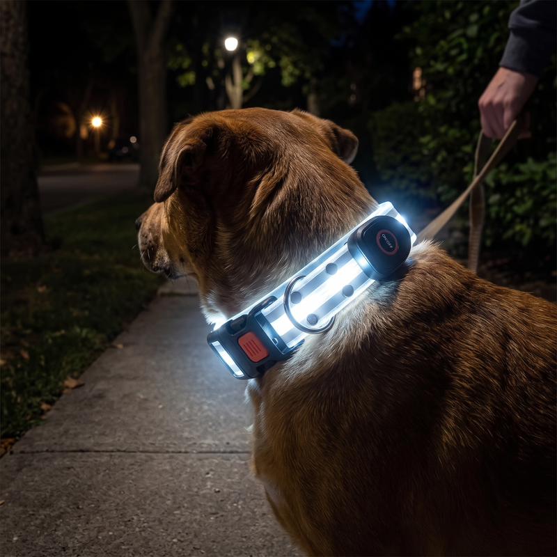 PetPilot Dog Collar | PVC Luxury Soft LED